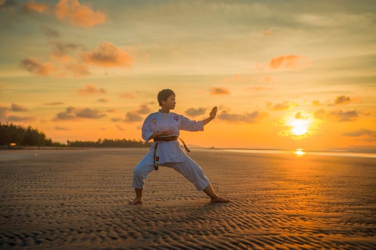 Martial Arts Academies